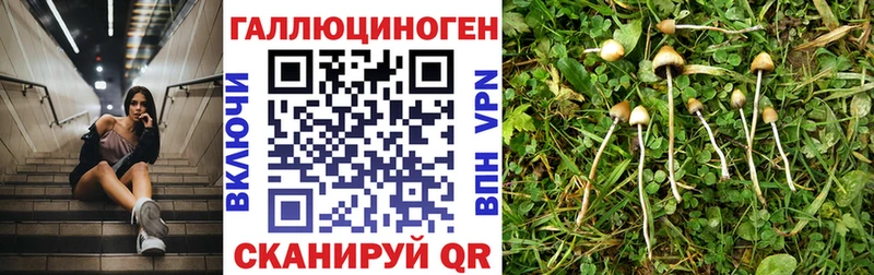 Псилоцибиновые грибы мухоморы  Петушки 